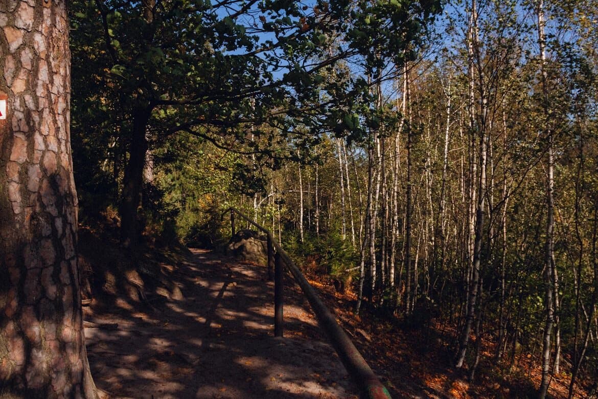 Explore the Outdoors