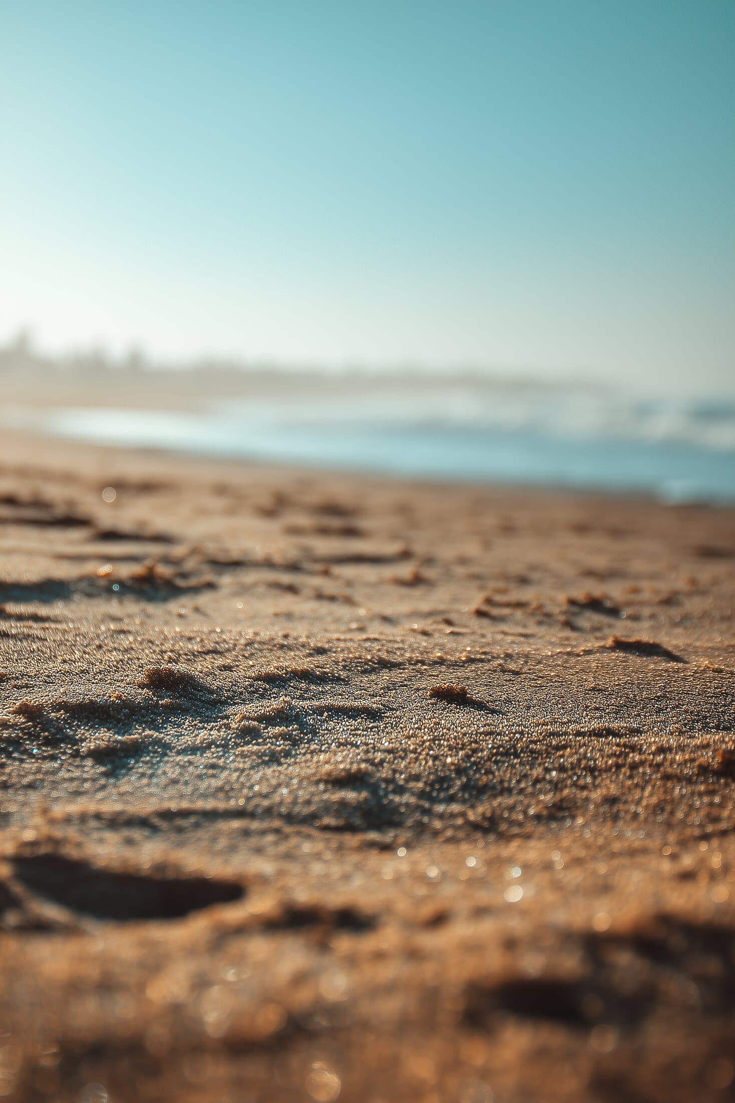 Connected
Coastal Living