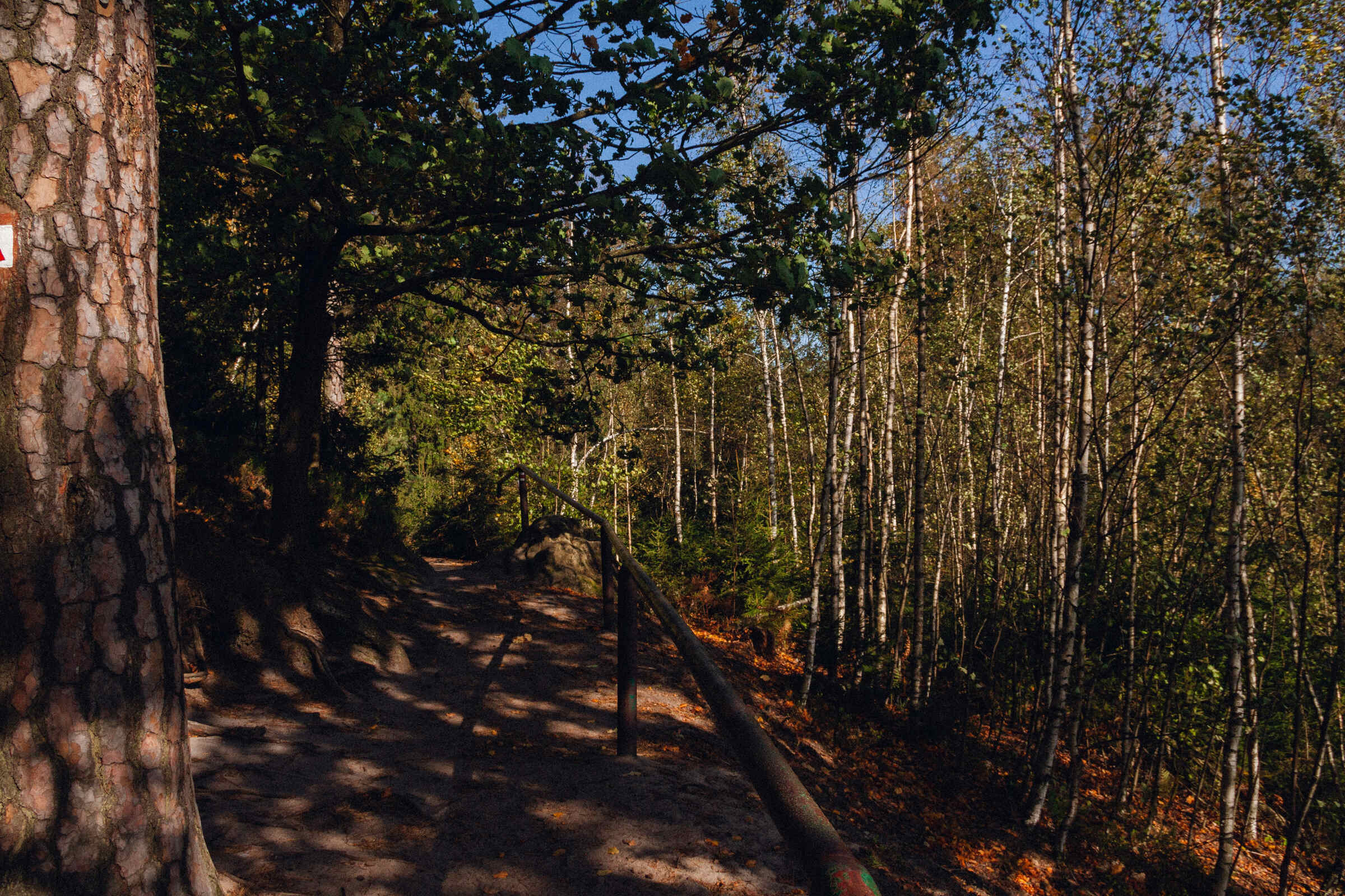 Trail